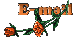 geeta@front.ru, geeta@mail.ru